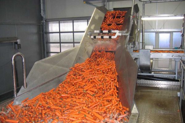 Milo-FAIS_Food processing_carrot 3